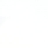 Premium White Gloss Shower Wall Panel – 1M x 2.4M