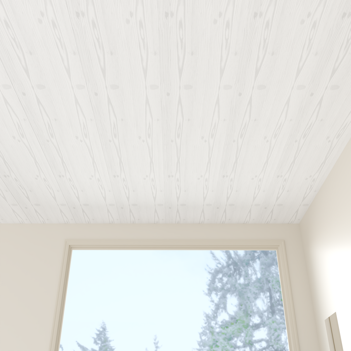 4 Pack | 8mm White Ash Woodgrain Gloss Ceiling Panel 2.6M
